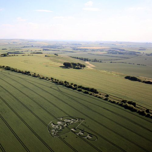Rough Hill, Wiltshire crop circle, aerial photo 9