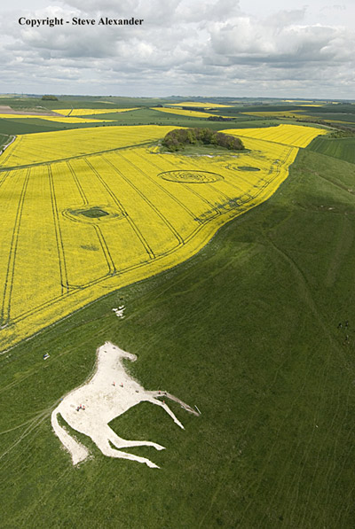 Roundway Hill, Wiltshire crop circle, aerial photo 12