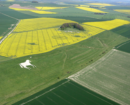 Roundway Hill, Wiltshire crop circle, aerial photo 2