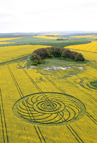 Roundway Hill, Wiltshire crop circle, aerial photo 10