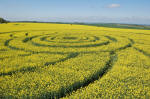 Roundway Hill, Wiltshire crop circle, aerial photo 5