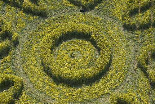 Roundway Hill (2), Wiltshire crop circle, aerial photo 6
