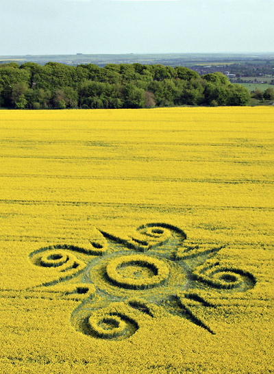 Roundway Hill (2), Wiltshire crop circle, aerial photo 2