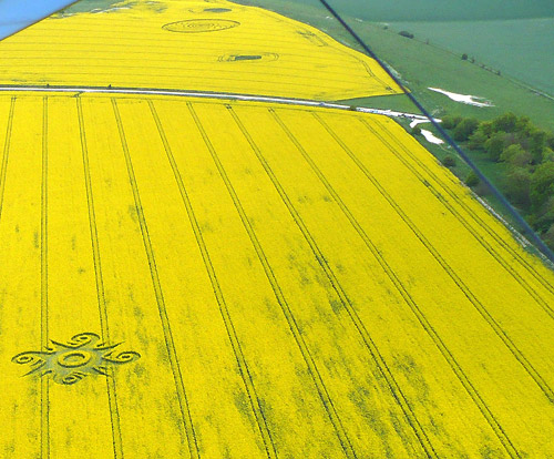 Roundway Hill (2), Wiltshire crop circle, aerial photo 4