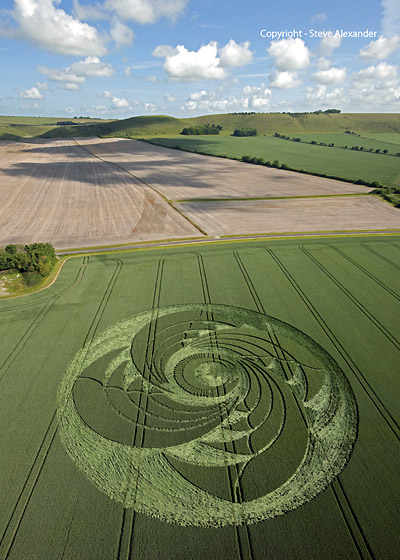 Tawsmead Copse, Wiltshire crop circle, aerial photo 9
