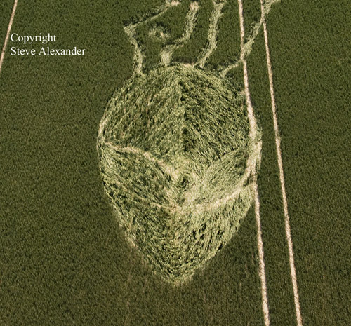 South Field, Wiltshire crop circle, aerial photo 8