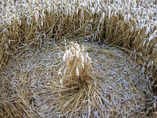South Field (2), Wiltshire crop circle, aerial photo 7