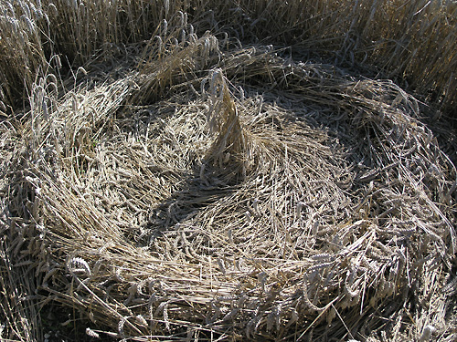 South Field (2), Wiltshire crop circle, aerial photo 6