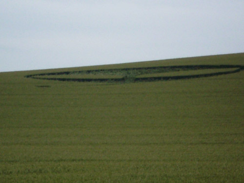 Waden Hill, Wiltshire crop circle, aerial photo 3