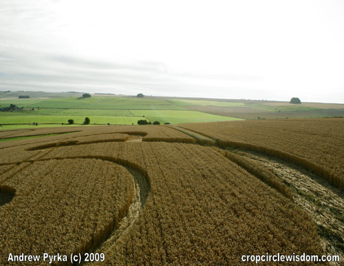 Waden Hill (3), Wiltshire crop circle, aerial photo 5