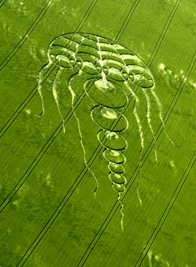 Waylands Smithy, Oxfordshire crop circle, aerial photo 10