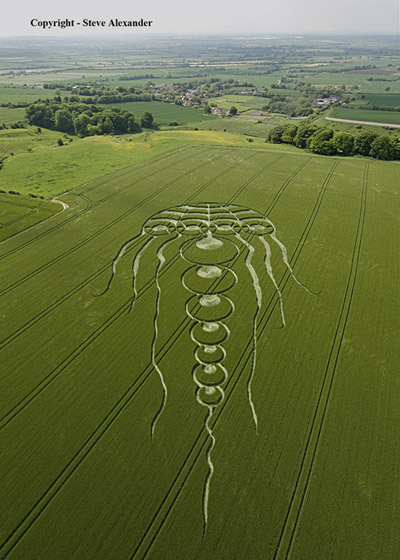 Waylands Smithy, Oxfordshire crop circle, aerial photo 9
