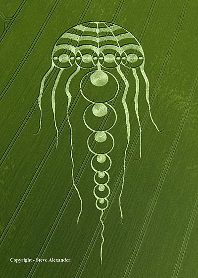 Waylands Smithy, Oxfordshire crop circle, aerial photo 8