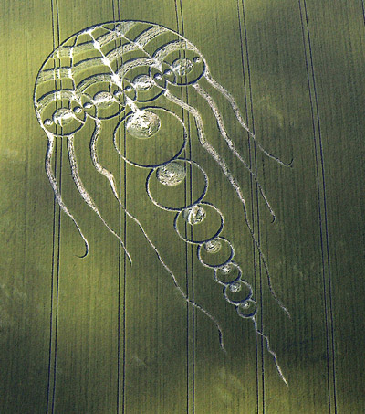 Waylands Smithy, Oxfordshire crop circle, aerial photo 7