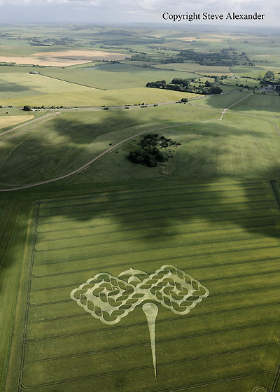 West Down Gallops, Wiltshire crop circle, aerial photo 2
