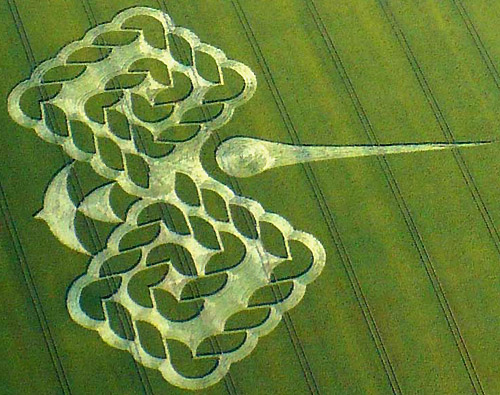 West Down Gallops, Wiltshire crop circle, aerial photo 3