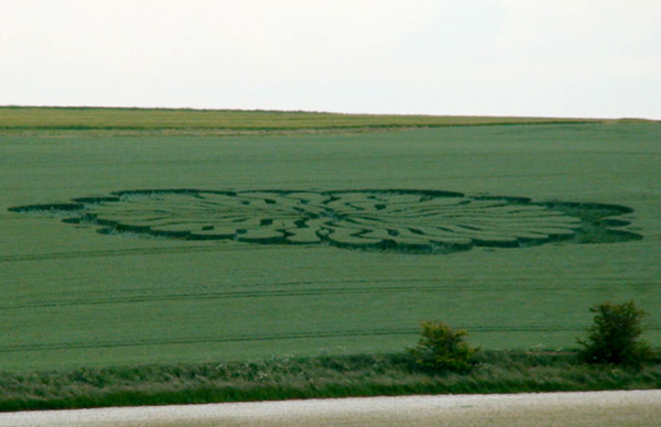 Waden Hill, Wiltshire crop circle, aerial photo 4