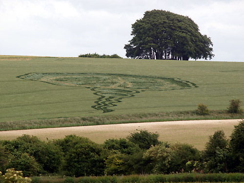 Waden Hill, Wiltshire crop circle, aerial photo 13