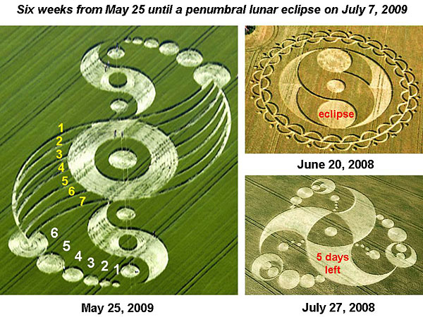 Windmill Hill, Wiltshire crop circle, aerial photo 13