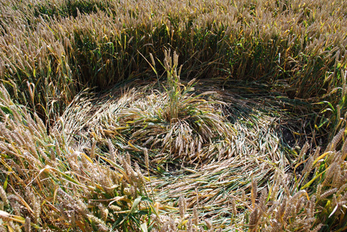 Winterbourne Bassett, Wiltshire crop circle, aerial photo 8