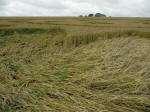 Winterbourne Bassett, Wiltshire crop circle, aerial photo 5