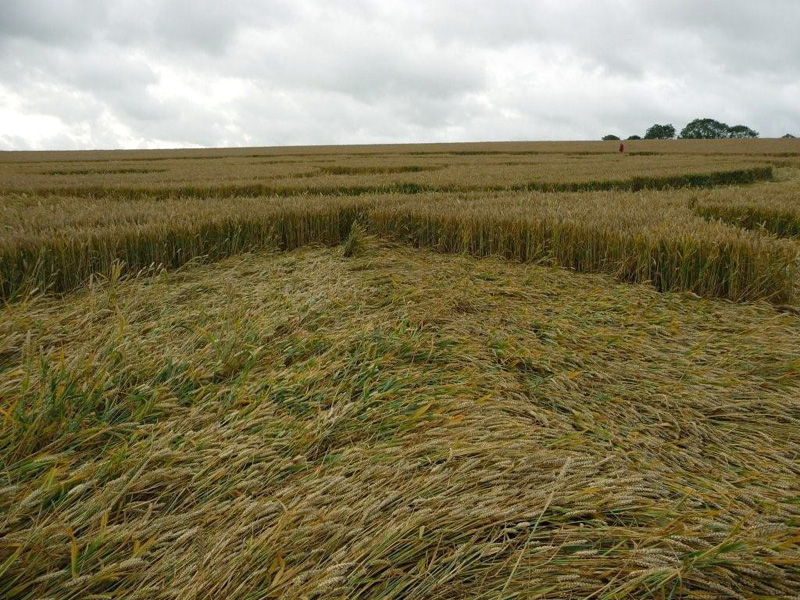 Winterbourne Bassett, Wiltshire crop circle, aerial photo 4