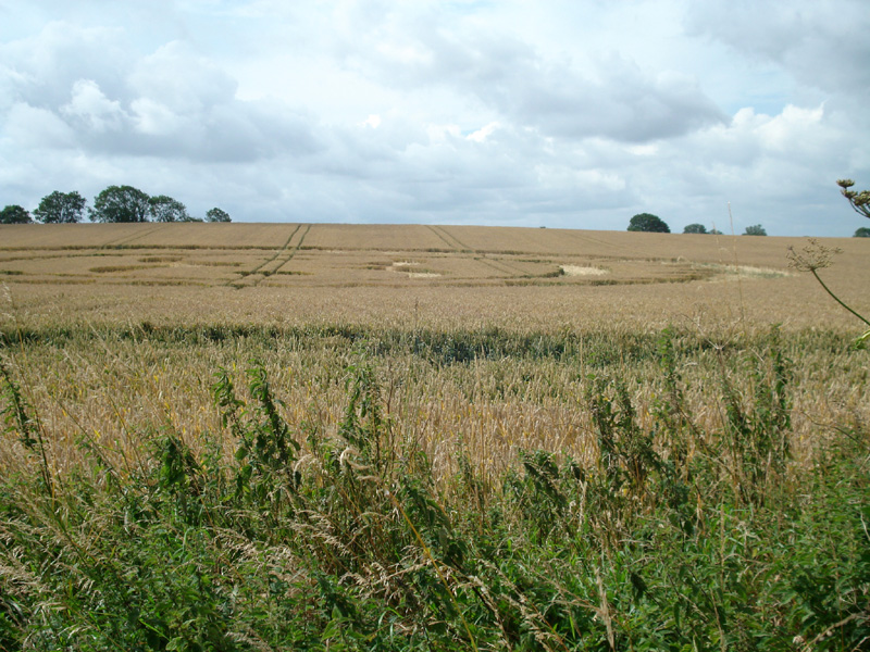 Winterbourne Bassett, Wiltshire crop circle, aerial photo 10