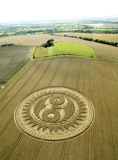 Crop Circle atWoodborough Hill, Wiltshire crop circle, aerial photo 12