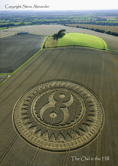 Crop Circle atWoodborough Hill, Wiltshire crop circle, aerial photo 9