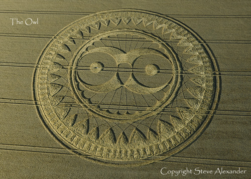 Crop Circle atWoodborough Hill, Wiltshire crop circle, aerial photo 8