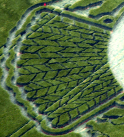 Yatesbury, Wiltshire crop circle, aerial photo 11
