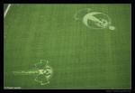 Yatesbury, Wiltshire crop circle, aerial photo 13