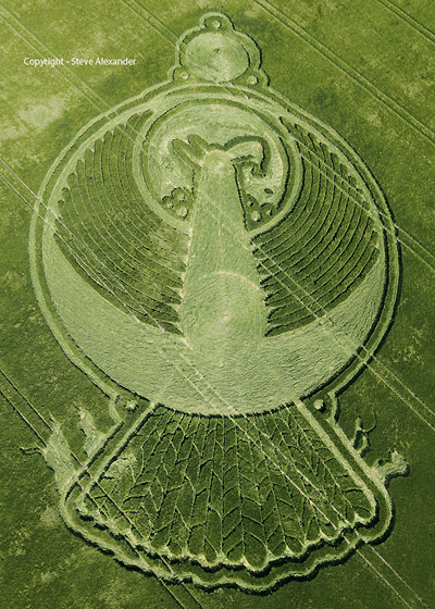 Yatesbury, Wiltshire crop circle, aerial photo 8