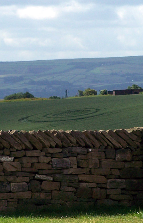 Castle Hill, Yorkshire crop circle, aerial photo 6