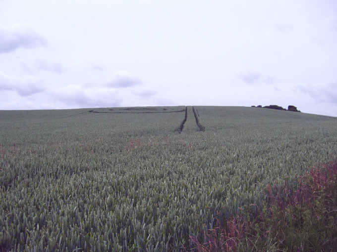 Castle Hill, Yorkshire crop circle, aerial photo 47