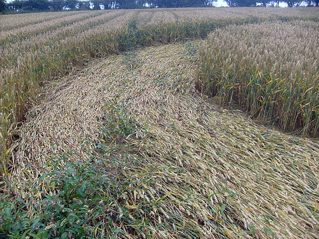 Coberley, Gloucestershire crop circle, aerial photo 3
