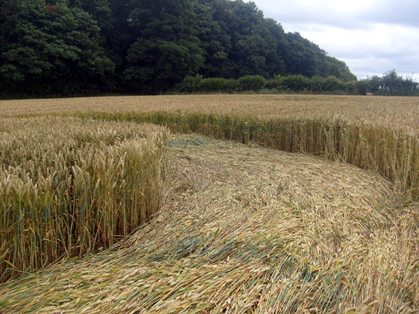 Coberley, Gloucestershire crop circle, aerial photo 4