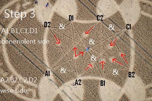 East Field, Wiltshire crop circle, aerial photo 14