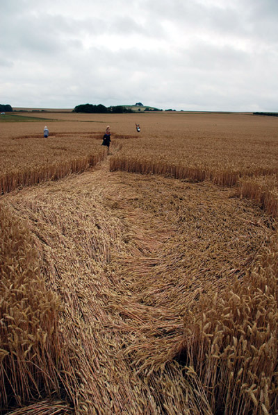 East Field, Wiltshire crop circle, aerial photo 24