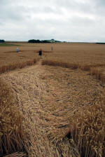 East Field, Wiltshire crop circle, ground photo 26