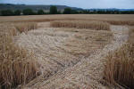 East Field, Wiltshire crop circle, ground photo 32