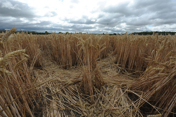East Field, Wiltshire crop circle, aerial photo 38
