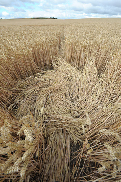 East Field, Wiltshire crop circle, aerial photo 40