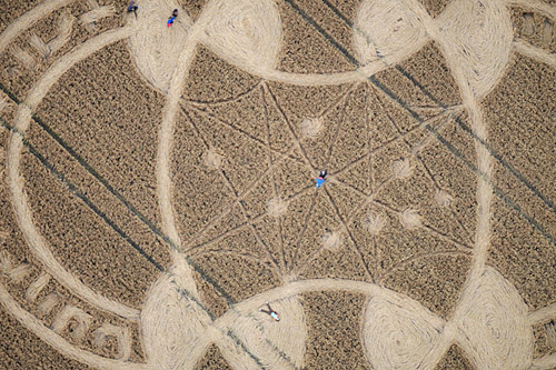 East Field, Wiltshire crop circle, aerial photo 4