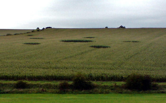 Hill Barnl, Wiltshire crop circle, aerial photo 24