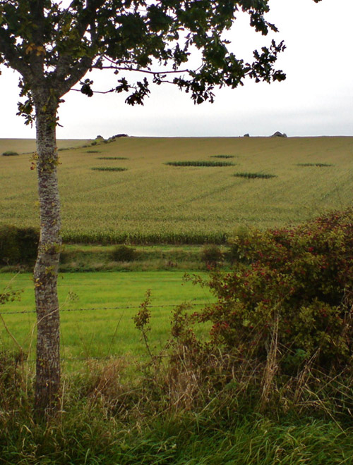 Hill Barnl, Wiltshire crop circle, aerial photo 25