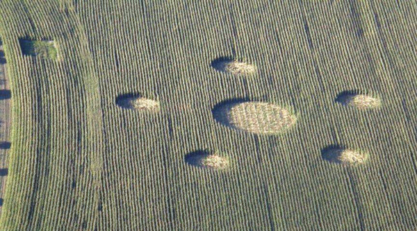Hill Barnl, Wiltshire crop circle, aerial photo 6
