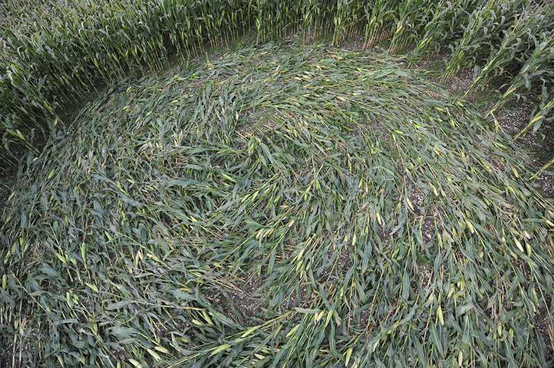 Hill Barnl, Wiltshire crop circle, aerial photo 16