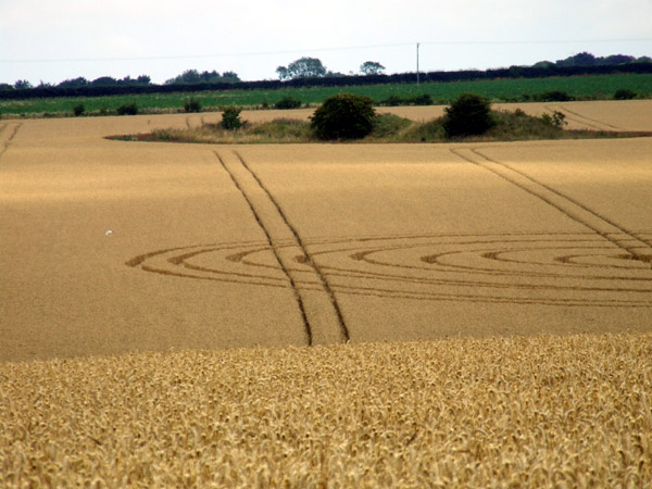Spellow Hills Long barrow, Lincolnshire crop circle, aerial photo 3