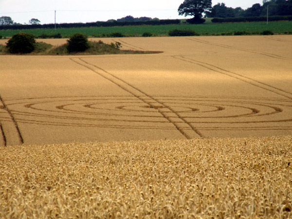 Spellow Hills Long barrow, Lincolnshire crop circle, aerial photo 4